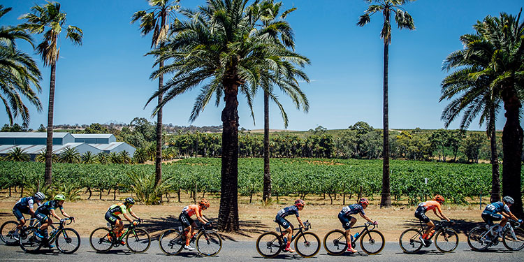 Ziptrak- tour down under 2019